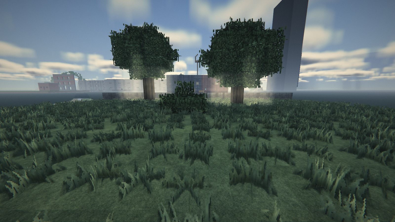 Un jardin : touffes d’herbe partout sur la pelouse, arbres au feuillage dense