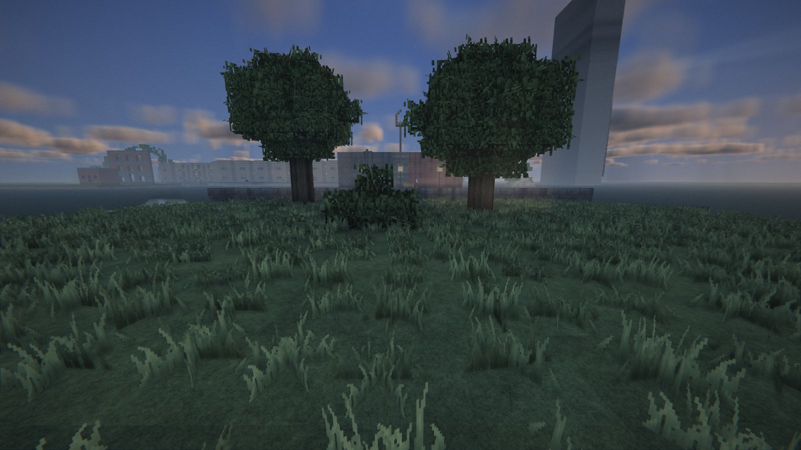 Le jardin au couchant, herbe et arbres dans la lumière du soir